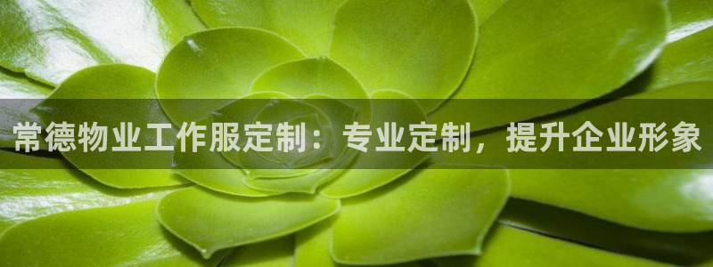 龙8国际登录