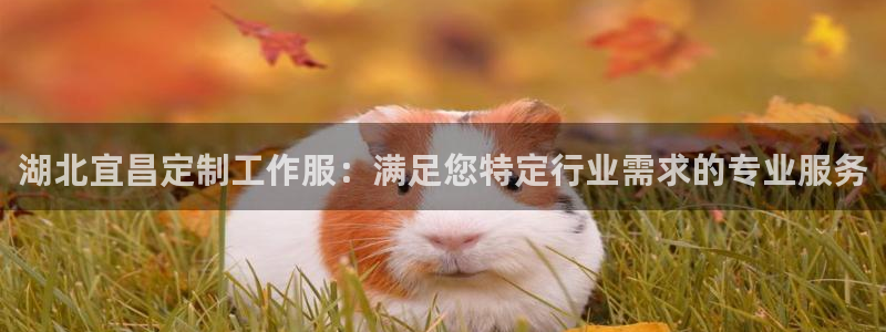 龙8头号玩家官方|湖北宜昌定制工作服:满足您特定行业需求的专业服务