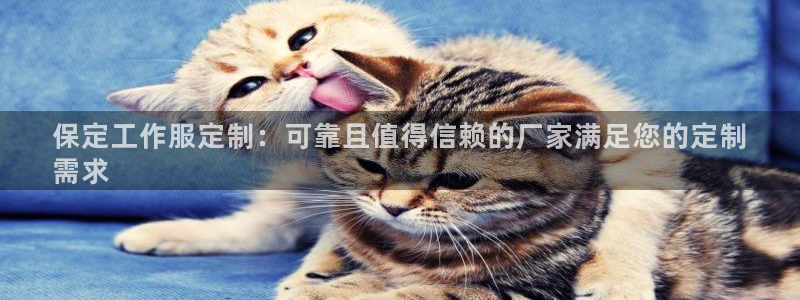 龙8国际唯一官网手游登录入口